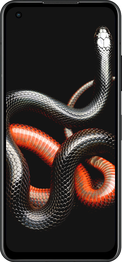 Силиконовый чехол Красно-черная змея на черном фоне для Asus Zenfone 9 - 4063u-2842 изображение 