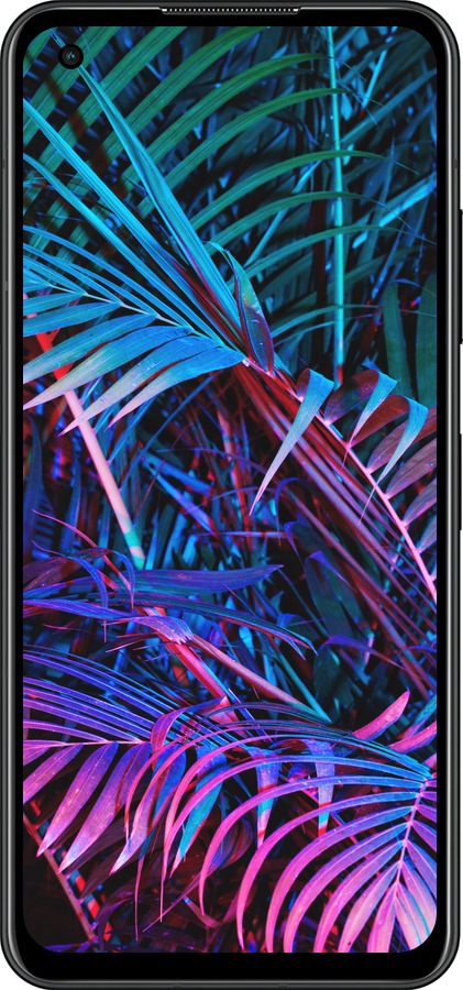 Силиконовый чехол Папоротник под ультрафиолетом для Asus Zenfone 9 - 4069u-2842 изображение 