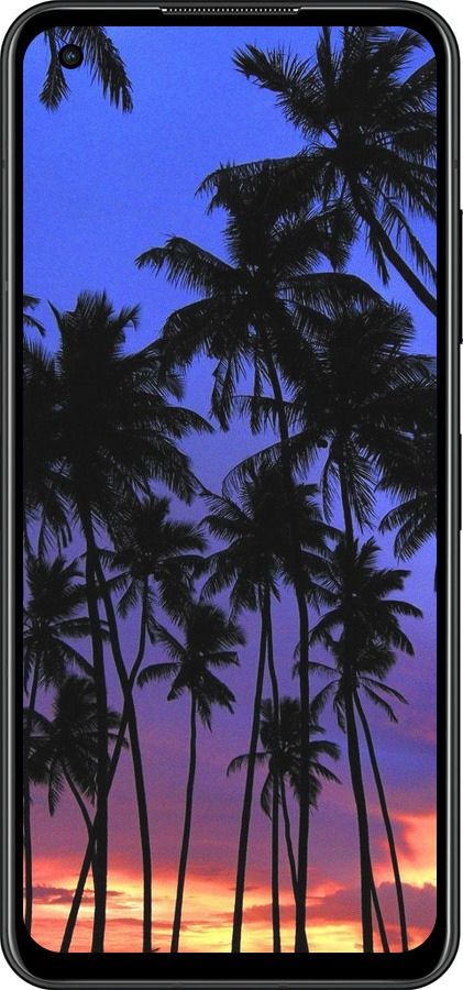 Силиконовый чехол Пальмы для Asus Zenfone 9 - 4324u-2842 изображение 