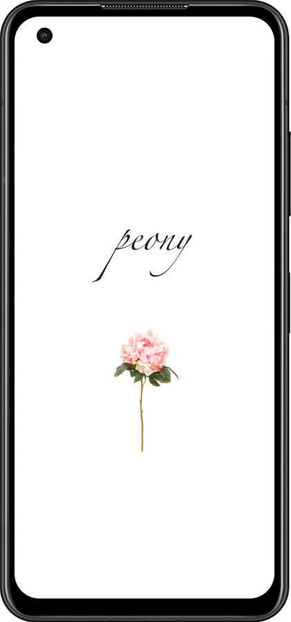 Силиконовый чехол Пион для Asus Zenfone 9 - 4366u-2842 изображение 