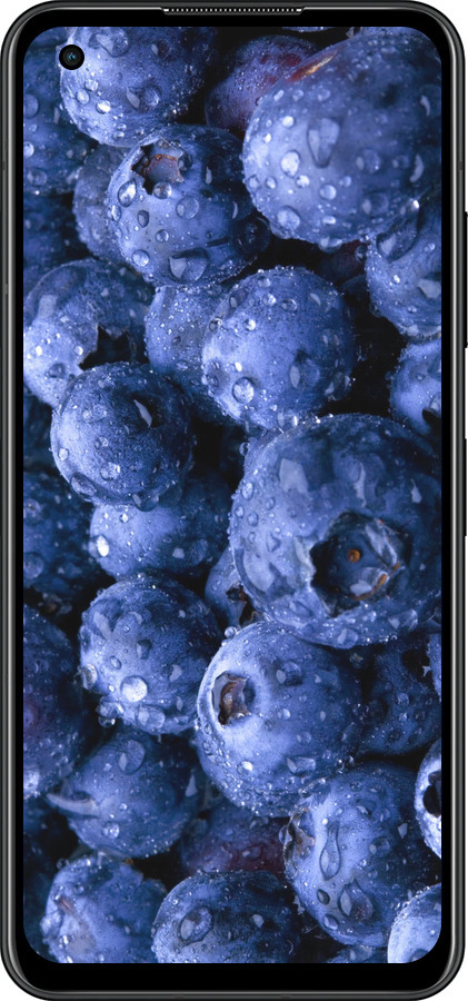 Силиконовый чехол Голубика для Asus Zenfone 9 - 4459u-2842 изображение 