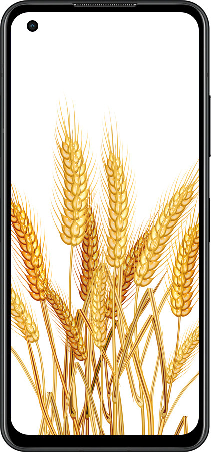 Силиконовый чехол Колоски пшеници для Asus Zenfone 9 - 5866u-2842 изображение 