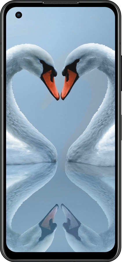 Силіконовий чехол Лебеді для Asus Zenfone 9 - 6007u-2842 изображение 