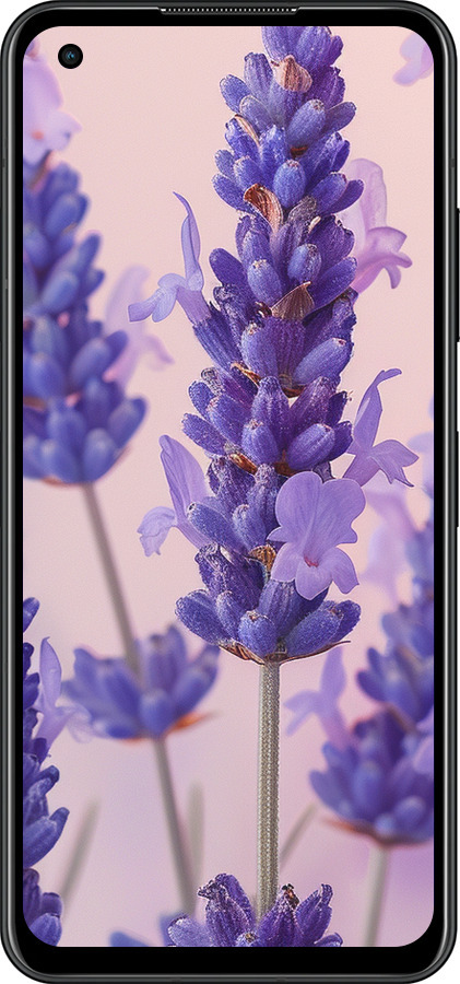 Силиконовый чехол Лаванда для Asus Zenfone 9 - 6037u-2842 изображение 