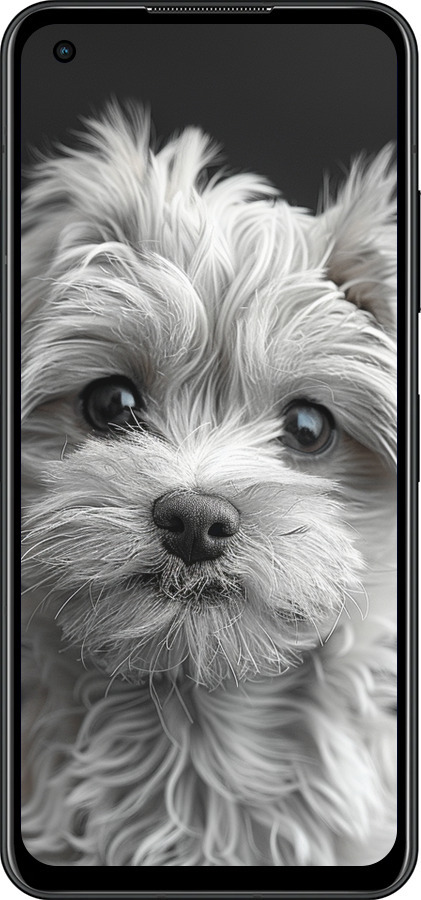 Силиконовый чехол Мальтипу на чорном фоне для Asus Zenfone 9 - 6156u-2842 изображение 