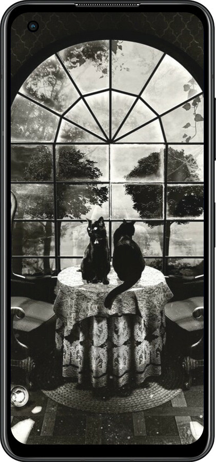 Силиконовый чехол Череп и коты для Asus Zenfone 9 - 6432u-2842 изображение 