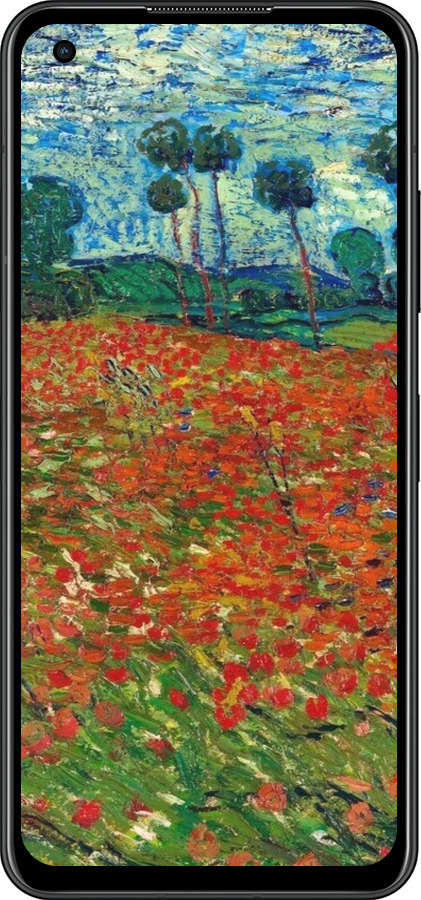 Силіконовий чехол Вінсент Ван Гог-Макове поле для Asus Zenfone 9 - 6466u-2842 изображение 