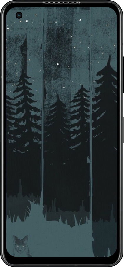 Силиконовый чехол Лиса и ночной лес для Asus Zenfone 9 - 6481u-2842 изображение 