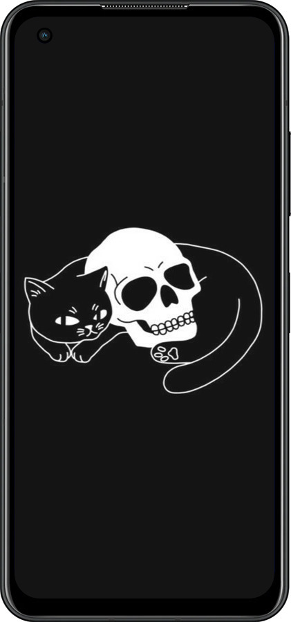 Силиконовый чехол С изображением кота и черепа для Asus Zenfone 9 - 6491u-2842 изображение 