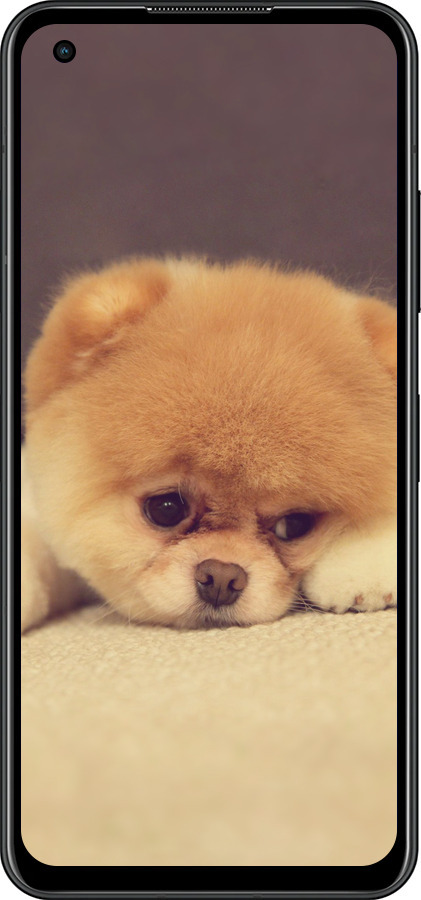 Силіконовий чехол Boo 2 для Asus Zenfone 9 - 890u-2842 изображение 