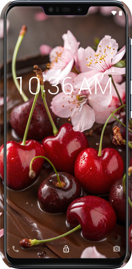 3D пластиковый матовый чехол Вишня в шоколаде для Asus Zenfone Max M2 ZB633KL - 6698m-1629 изображение 