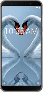 Силиконовый чехол Лебеди для Asus ZenFone Max Pro M1 ZB602KL - 6007u-1647 изображение 