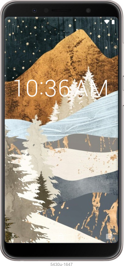 Силиконовый чехол № 5430 для Asus ZenFone Max Pro M1 ZB602KL - 5430u-1647 изображение 