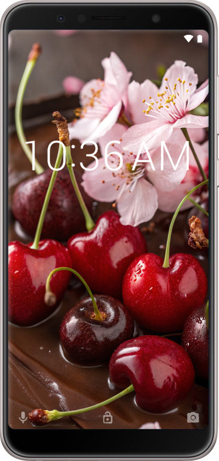 Силіконовий чехол Вишня у шоколаді для Asus ZenFone Max Pro M1 ZB602KL - 6698u-1647 изображение 