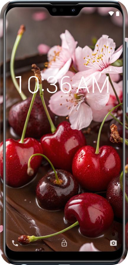 3D пластиковий матовий чехол Вишня у шоколаді для Asus Zenfone Max Pro M2 ZB631KL - 6698m-1641 изображение 