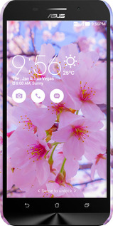 3D пластиковый матовый чехол Сакура для Asus ZenFone Max ZC550KL - 6029m-271 изображение 