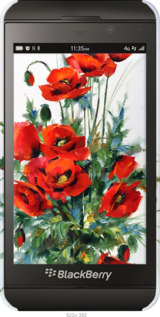 3D пластиковый глянцевый чехол Маки для Blackberry Z10 - 523c-392 изображение 