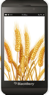 3D пластиковый глянцевый чехол Колоски пшеници для Blackberry Z10 - 5866c-392 изображение 