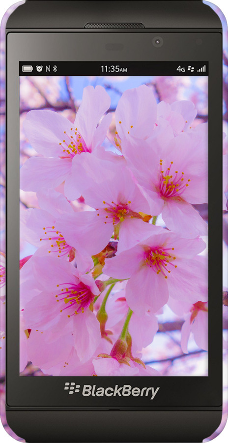 3D пластиковый глянцевый чехол Сакура для Blackberry Z10 - 6029c-392 изображение 