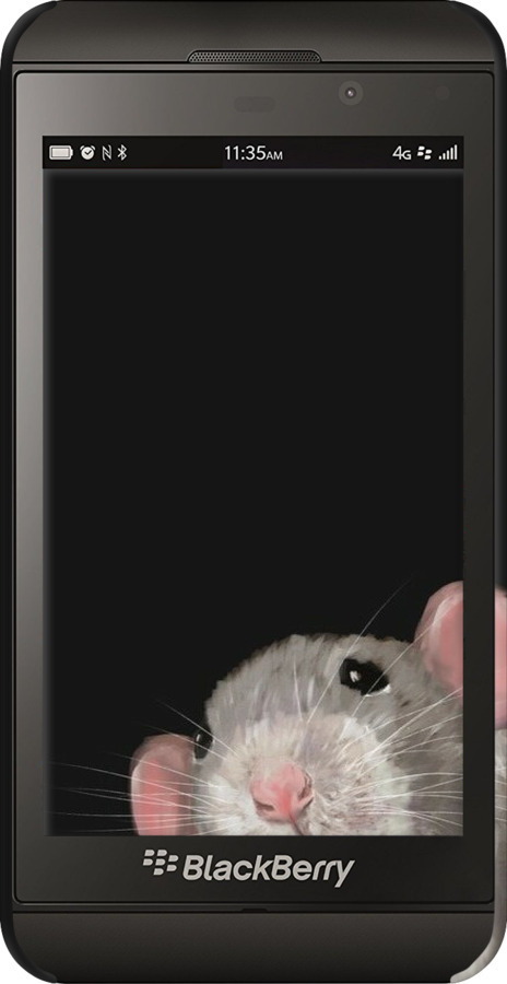 3D пластиковый глянцевый чехол The Peeking Rat для Blackberry Z10 - 6442c-392 изображение 
