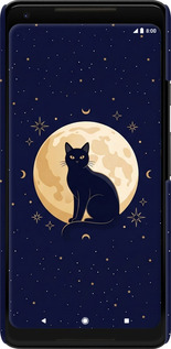 3D пластиковый матовый чехол Cute Cat Celestial/Witchy для Google PixeL 2 XL - 6787m-1643 изображение 