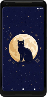 2D пластиковый чехол Cute Cat Celestial/Witchy для Google PixeL 2 XL - 6787t-1643 изображение 