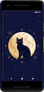 3D пластиковый матовый чехол Cute Cat Celestial/Witchy для Google Pixel 2 - 6787m-1075 изображение 