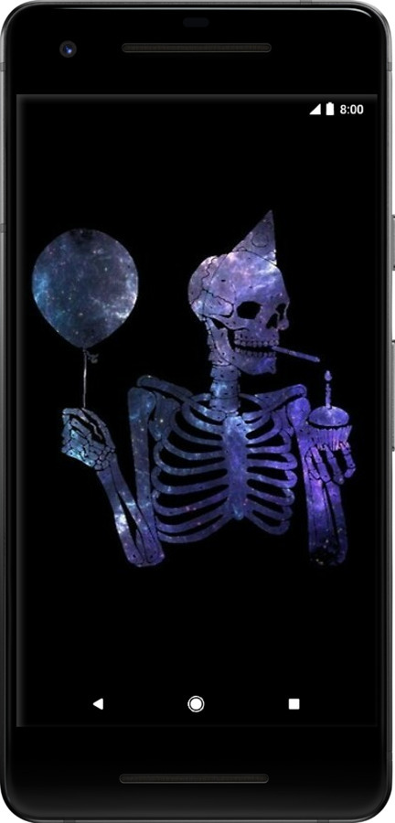 2D пластиковый чехол Скелетное искусство для Google Pixel 2 - 6536t-1075 изображение 