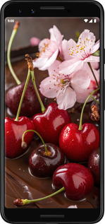2D пластиковий чехол Вишня у шоколаді для Google Pixel 3 - 6698t-1528 изображение 