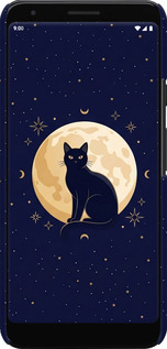 3D пластиковий матовий чехол Cute Cat Celestial/Witchy для Google Pixel 3a XL - 6787m-1713 изображение 