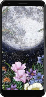 2D пластиковий чехол Північ у саду II для Google Pixel 3a XL - 6424t-1713 изображение 