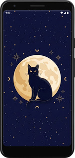 TPU чехол Cute Cat Celestial/Witchy для Google Pixel 3a - 6787b-1700 изображение 