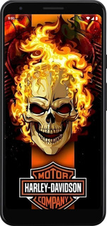 2D пластиковый чехол Харлей девидсон для Google Pixel 3a - 6370t-1700 изображение 