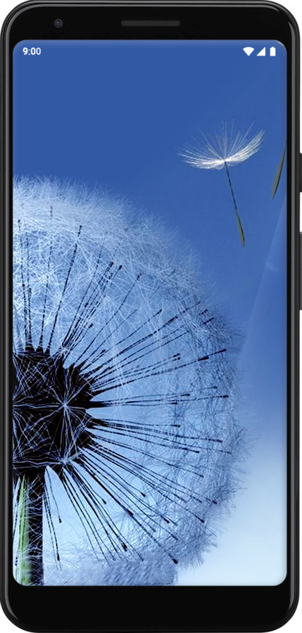 2D пластиковий чехол Кульбабка для Google Pixel 3a - 6005t-1700 изображение 
