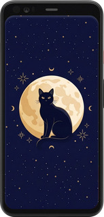Силиконовый чехол Cute Cat Celestial/Witchy для Google Pixel 4 XL - 6787u-1754 изображение 