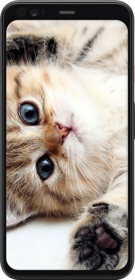 TPU чехол Котик для Google Pixel 4 - 6024b-1755 изображение 