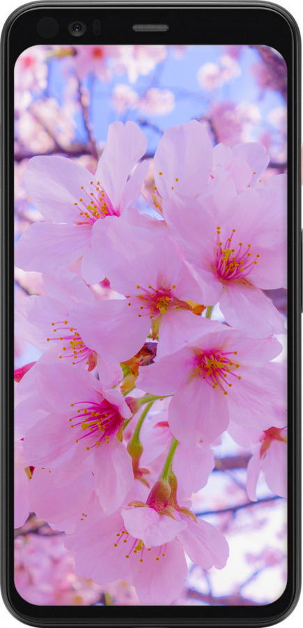 TPU чехол Сакура для Google Pixel 4 - 6029b-1755 изображение 