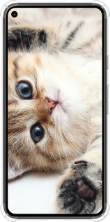 Силикон с усиленными углами чехол Котик для Google Pixel 5 - 6024sp-2044 изображение 