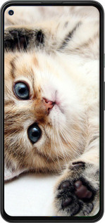 2D пластиковий чехол Котик для Google Pixel 5A - 6024t-2286 изображение 