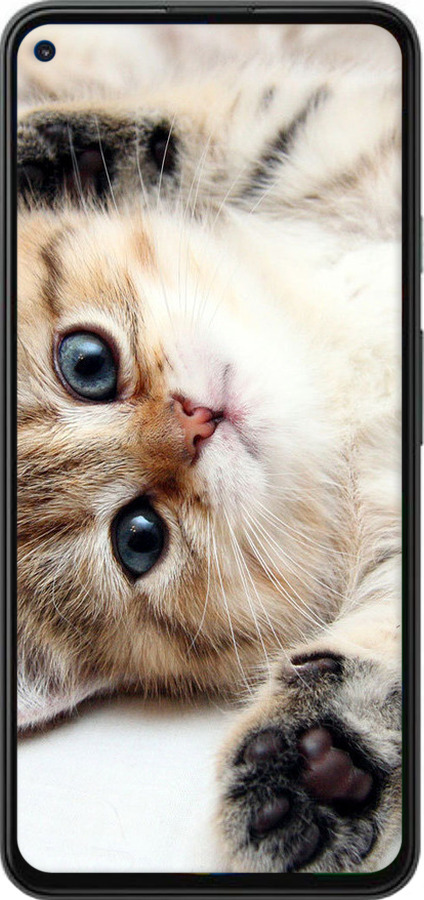 2D пластиковий чехол Котик для Google Pixel 5A - 6024t-2286 изображение 
