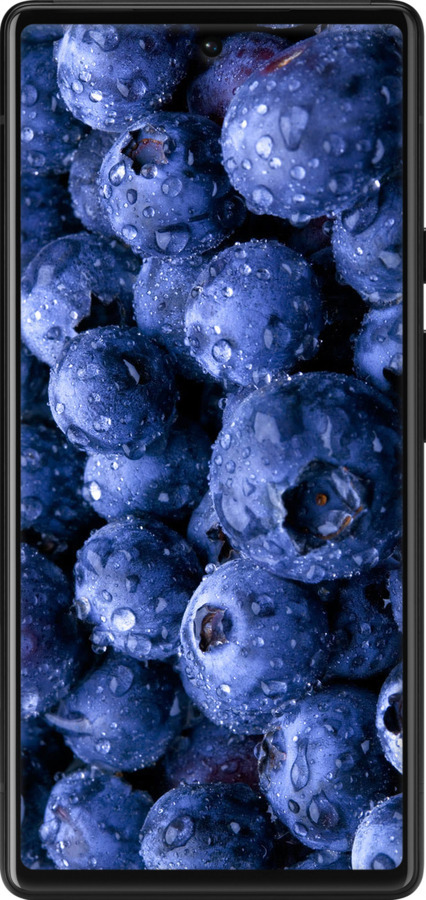 Силиконовый чехол Голубика для Google Pixel 6 - 4459u-2364 изображение 