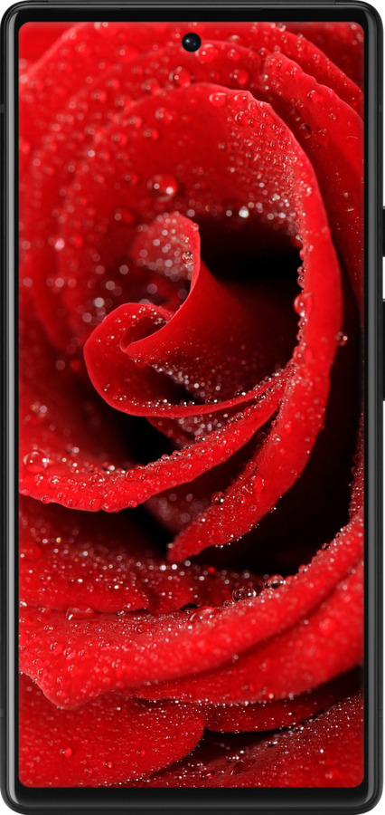 Силиконовый чехол Красная роза для Google Pixel 6 - 529u-2364 изображение 