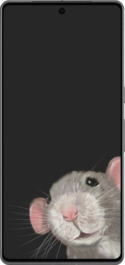 TPU чехол The Peeking Rat для Google Pixel 7 Pro - 6442b-3031 изображение 