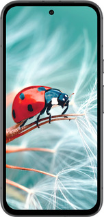 Силиконовый чехол Божья коровка для Google Pixel 8A - 6049u-3406 изображение 