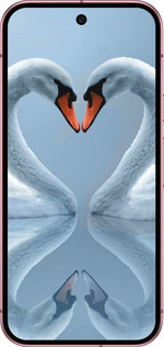 Силиконовый чехол Лебеди для Google Pixel 9 5G - 6007u-3643 изображение 