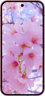 Силіконовий чехол Сакура для Google Pixel 9 5G - 6029u-3643 изображение 