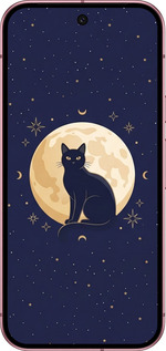 Силіконовий чехол Cute Cat Celestial/Witchy для Google Pixel 9 5G - 6787u-3643 изображение 