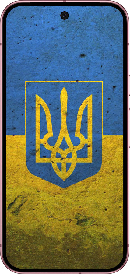 Силиконовый чехол Флаг и герб Украины 2 для Google Pixel 9 5G - 378u-3643 изображение 