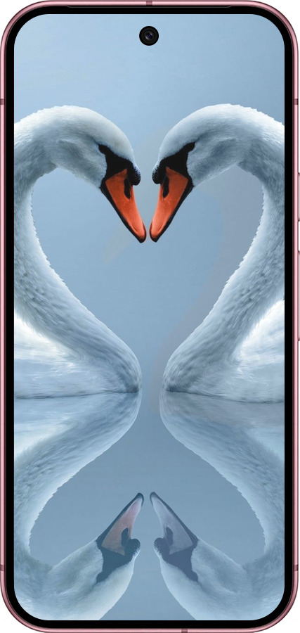 Силиконовый чехол Лебеди для Google Pixel 9 5G - 6007u-3643 изображение 