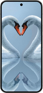 Силиконовый чехол Лебеди для Google Pixel 9 PRO XL - 6007u-3749 изображение 